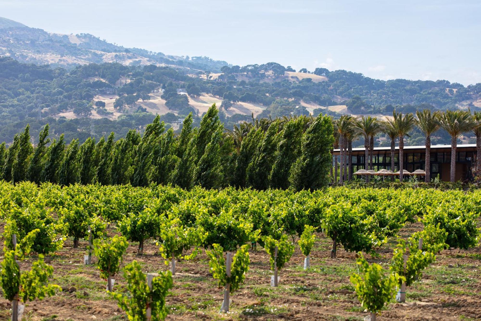 Homewood Suites By Hilton Fairfield-Napa Valley Area Cordelia Kültér fotó